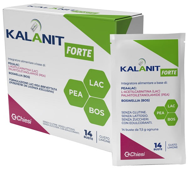 KALANIT Forte 14 Bust.