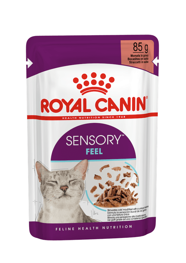 Royal Canin Sensory Feel Straccetti In Salsa Per Gatti Adulti Bustina 85g