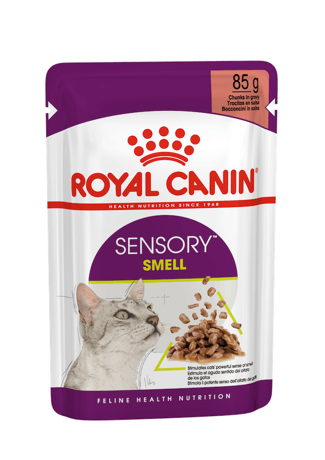 Royal Canin Sensory Smell Bocconcini In Salsa Per Gatti Adulti Bustina 85g
