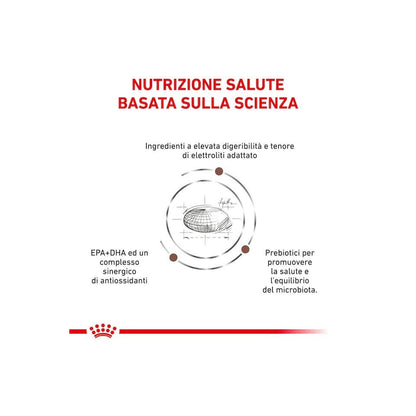 Royal Canin Veterinary Diet Gastrointestinal Cibo Secco Per Cani Adulti Sacco 2kg