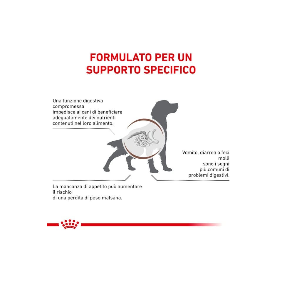 Royal Canin Veterinary Diet Gastrointestinal Cibo Secco Per Cani Adulti Sacco 2kg