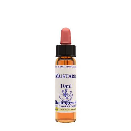 MUSTARD ESSENZA 10ML NATUR