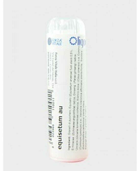 EQUISETUM AU 100 Gl.