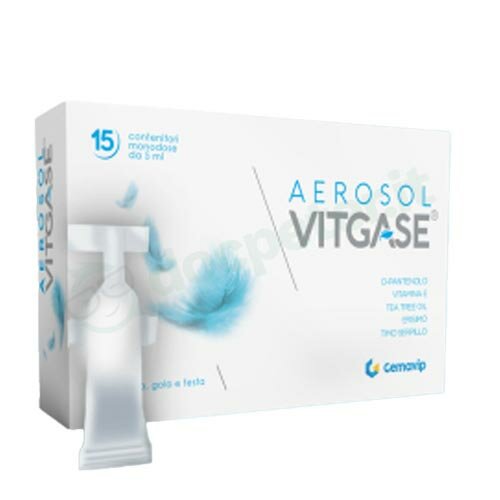 VITGASE AEROSOL 15F 25ML