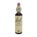 BACH CENTER ESS CLEMATIS 20ML