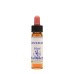 CENTAURY ESS 10ML INGL HERBS