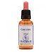 CHICORY ESSENZA 30ML