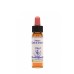 SWEET CHEST ESSENZA 10ML