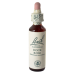 ROCK ROSE BACH Gtt 30ml