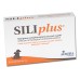 SILIPLUS 30 Cpr 1g