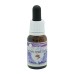 PURIFICATION SPRAY 60ML