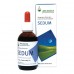 SEDUM 50ML ARCANGEA