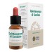 FV.QUINTESSENZA SANDALO 10ML