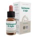 QUINTESSENZA ALLIUM SAT 10ML