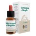 QUINTESSENZA Angelica 10ml