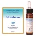 HORNBEAM FIORI MEDITER 10ML