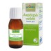 BO.AMPELOPSIS WEI MG 60ML INT