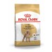 Royal Canin Crocchette Per Cani Barboncino Adulti Sacco 500g