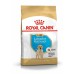 Royal Canin Corcchette Per Cani Labrador Retriever Cuccioli Sacco 12 Kg