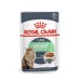 Royal Canin Feline Digest Sensitive Gravy Umido Per Gatti Bustine 12x85g