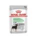 Royal Canin Digestive Care Pate' Morbido Per Cani Bustina 85g