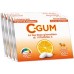 C Gum Agrumi Integratore 36 Gomme