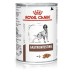 Royal Canin Veterinary Diet Gastro Intestinal Cibo Umido Per Cani Lattina 400g