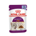 Royal Canin Sensory Taste Bocconcini In Gelatina Per Gatti Adulti Bustina 85g